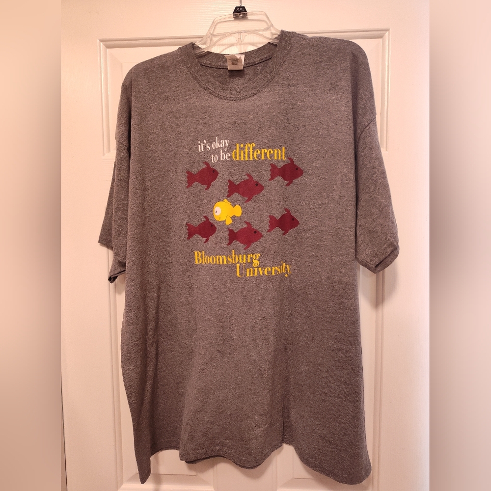 💙 Gray Bloomsburg University T-Shirt